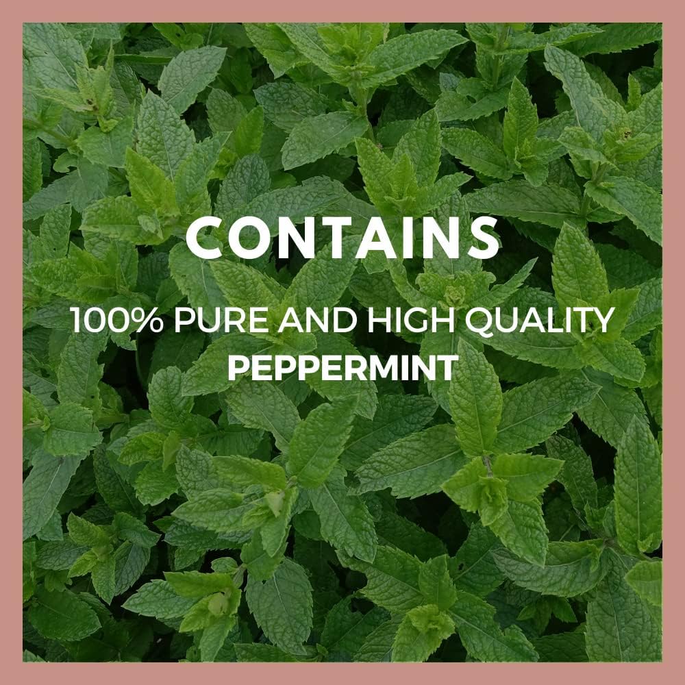 Remedy's Nutrition Peppermint Leaf | 1000 mg, 60 Vegan Capsules - görsel 4