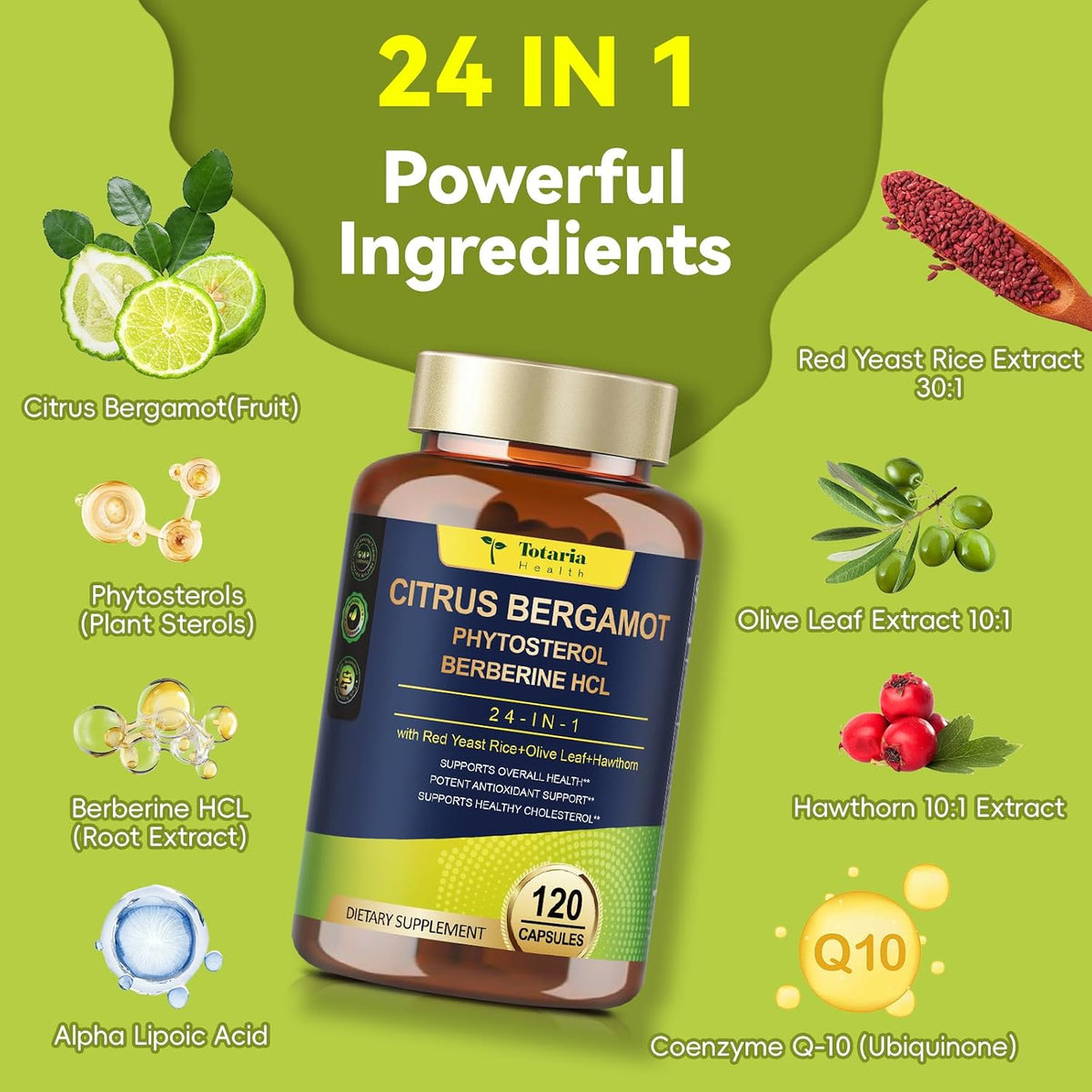 Citrus Bergamot Supplement for Cholesterol – Italian Citrus Bergamot & Plant Sterols, Vegan, Non-GMO, 120 Capsules - görsel 2