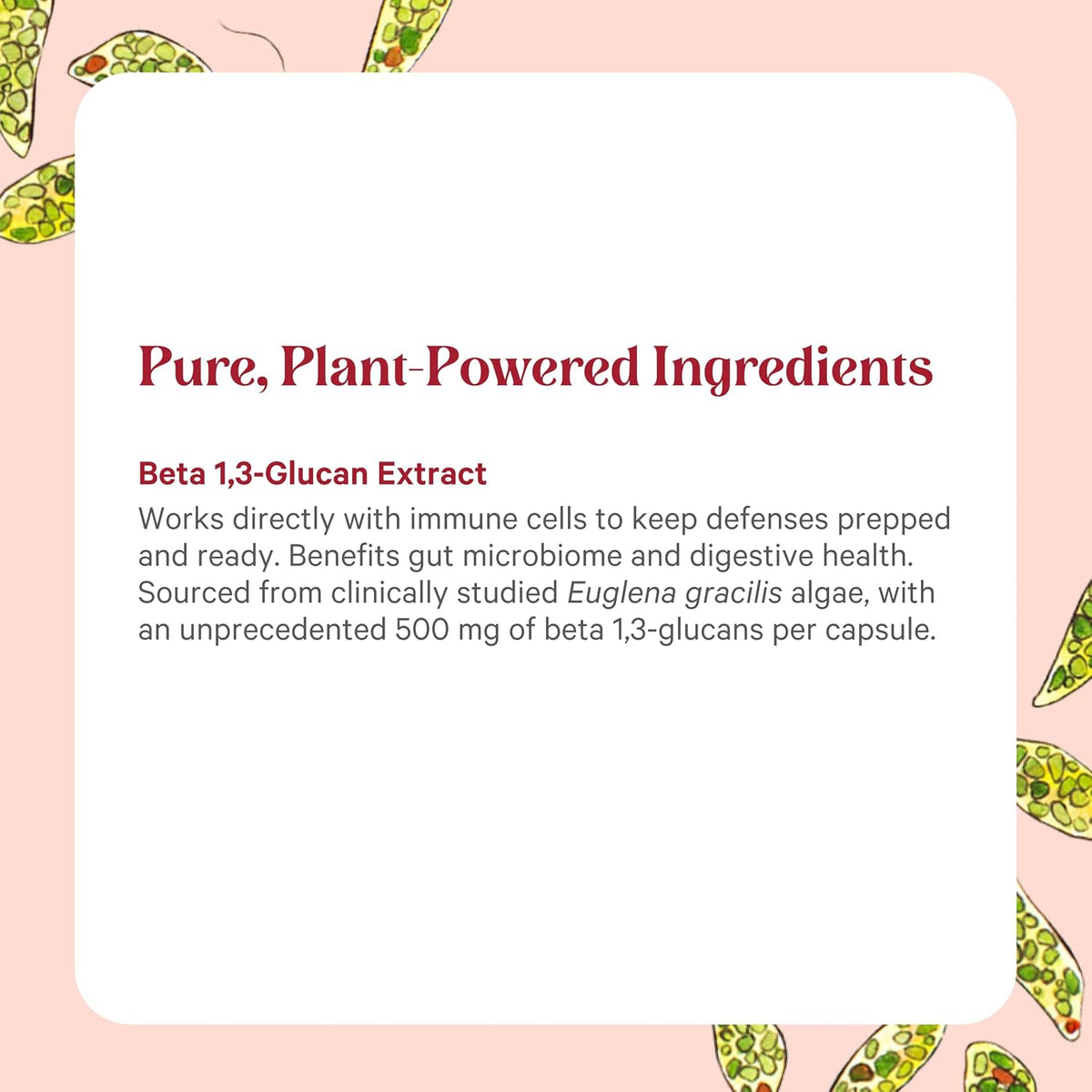 PURE SYNERGY SuperPure Beta 1,3-Glucan Extract | 500 mg | Yeast-Free, Non-GMO | 60 Capsules - görsel 5