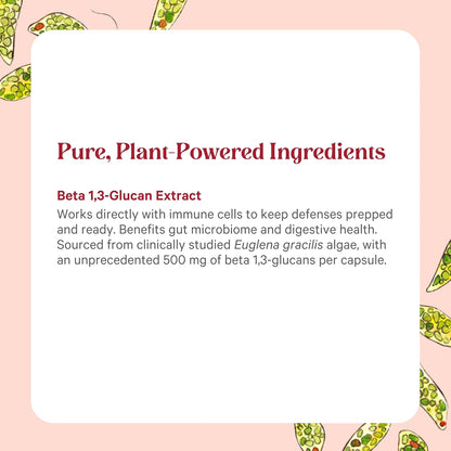 PURE SYNERGY SuperPure Beta 1,3-Glucan Extract | 500 mg | Yeast-Free, Non-GMO | 60 Capsules