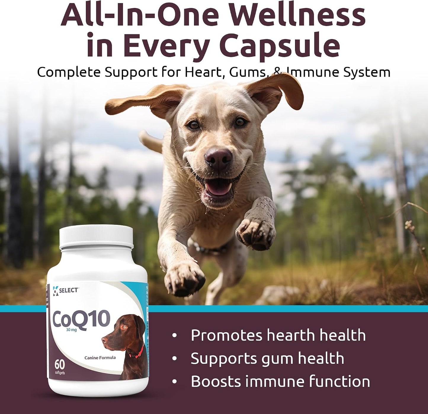 K9 Select CoQ10 Supplement for Dogs, 30mg – 90 Softgels - görsel 3
