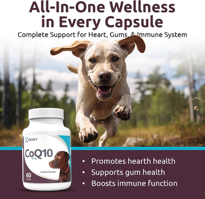 K9 Select CoQ10 Supplement for Dogs, 30mg – 90 Softgels