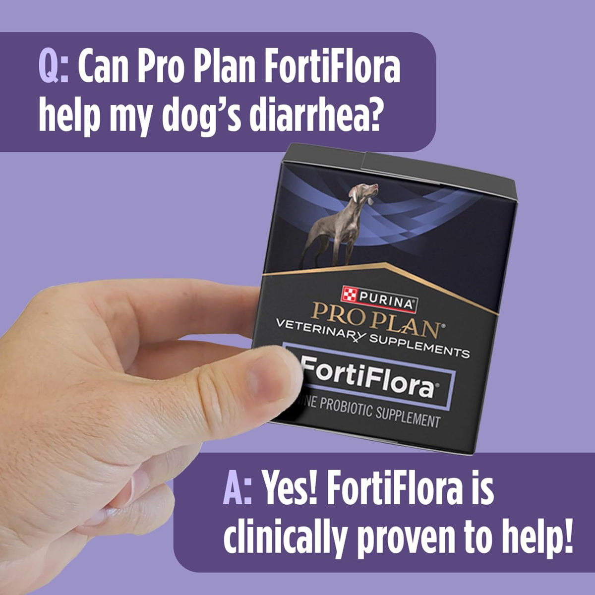 Purina Pro Plan Veterinary Supplements FortiFlora Probiotic Powder for Dogs, 30 Sachets - görsel 9