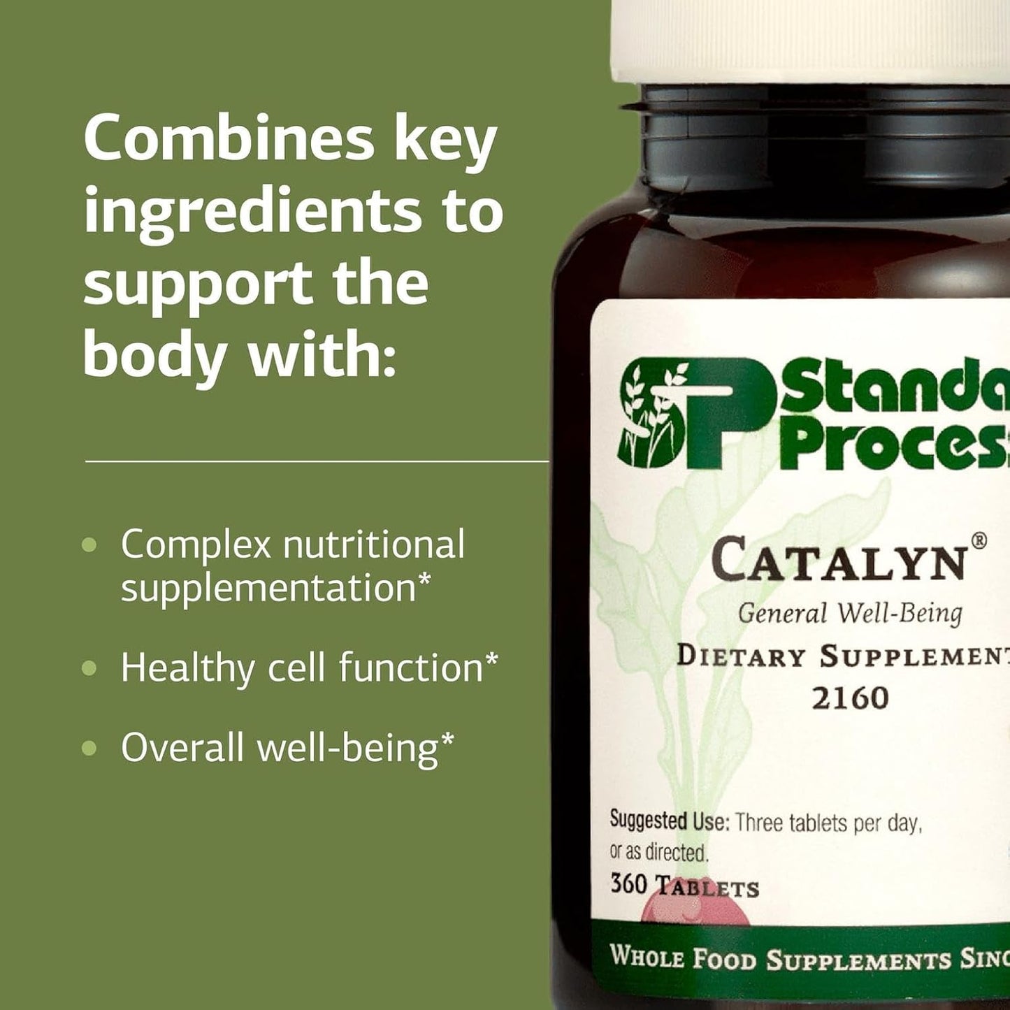 Standard Process Catalyn General Wellbeing Food Supplement - Non-Dairy & Non-Soy - 360 Tablets - görsel 4