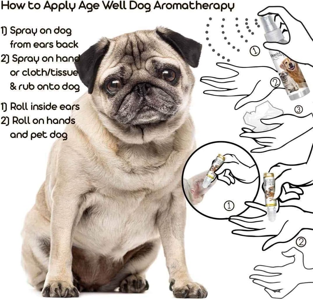 The Blissful Dog Pug Age Well Dog Aromatherapy Roll-On Bottle for Your Dog's Peaceful Ageing - görsel 4
