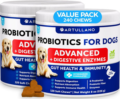 Probiotics for Dogs – Support Gut Health, Itchy Skin, Allergies, Immunity, Yeast Balance – Digestive Enzymes with Prebiotics – 70 Chews