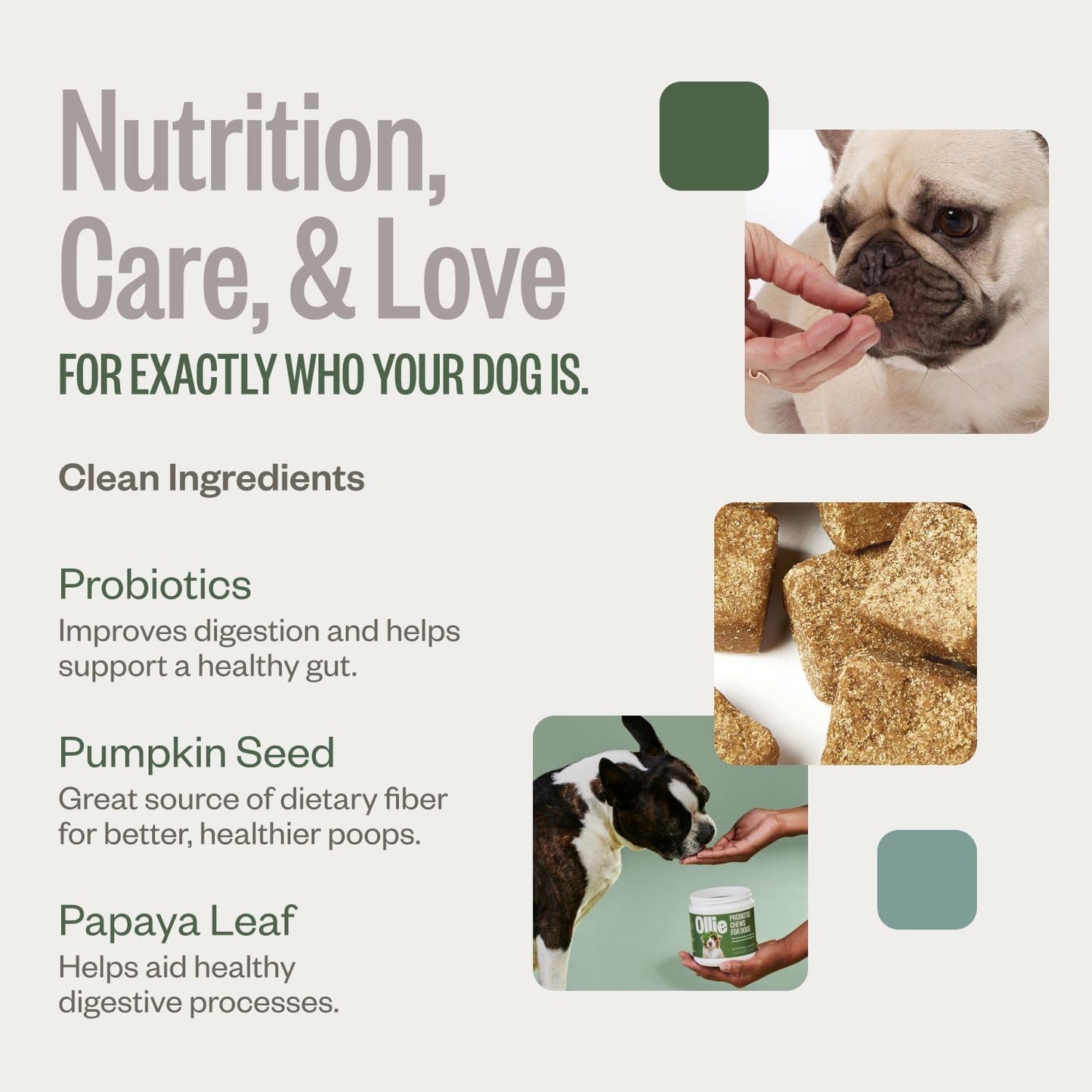 Ollie Belly Rubs Probiotic Dog Chews for Digestive Health, 60 Chews - görsel 4