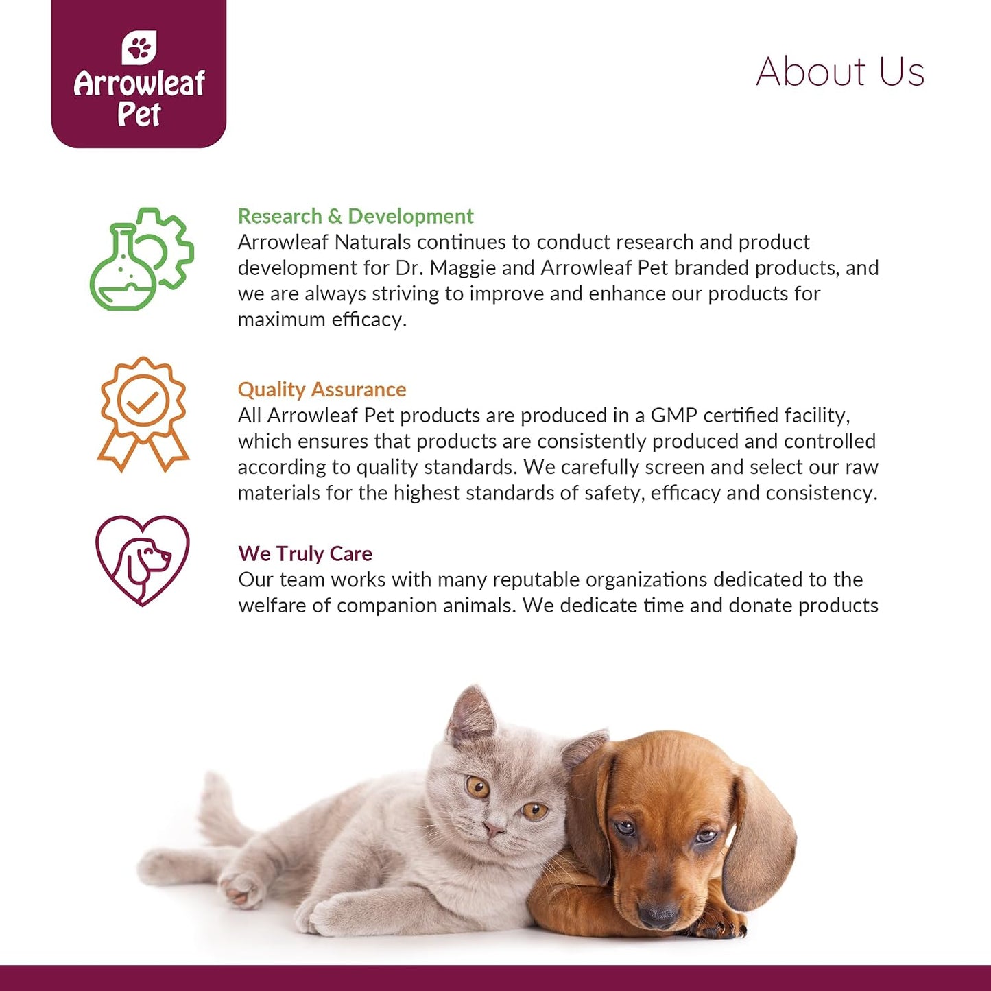 NaturPet Lung Care for Cats and Dogs | Respiratory Support Herbal Tincture (100 ml) - görsel 6