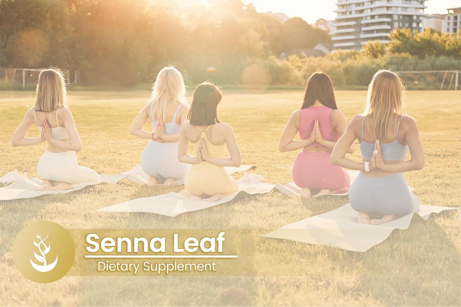 Pure Original Ingredients Senna Leaf, 100 Capsules – Always Pure, No Additives or Fillers - görsel 5