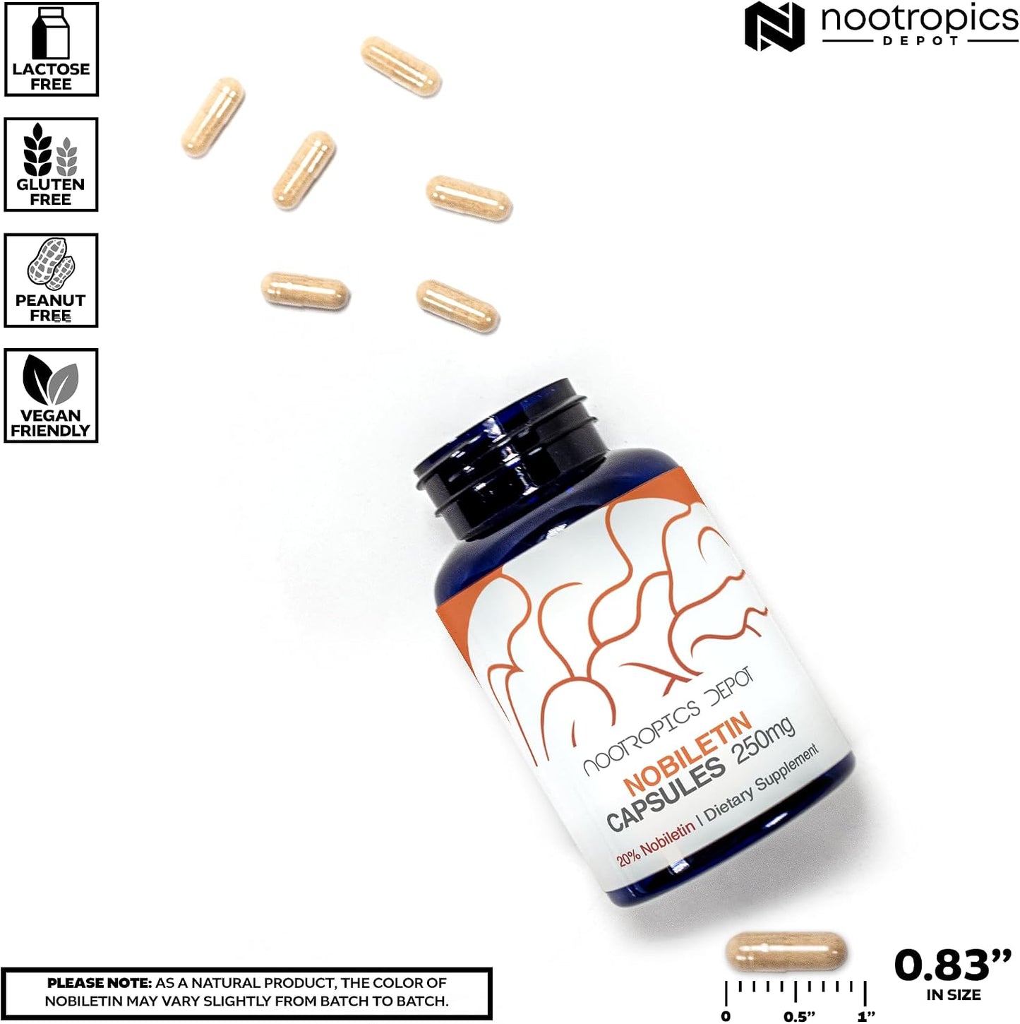 Nootropics Depot Nobiletin Capsules - 250mg (20% Extract) - 30 Count - görsel 3