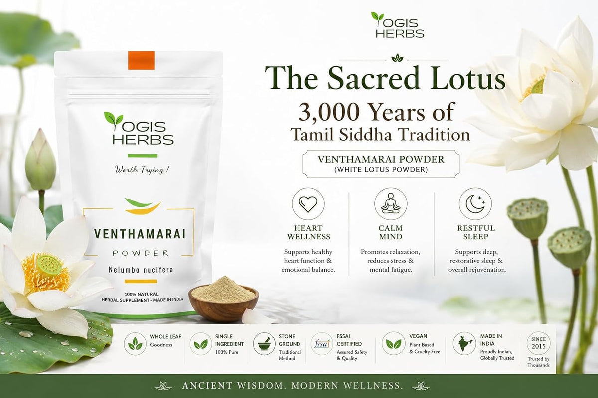 YOGIS HERBS Venthamarai Powder – Pure White Lotus (Nelumbo nucifera) Petal Powder for Heart Wellness & Calm - görsel 3