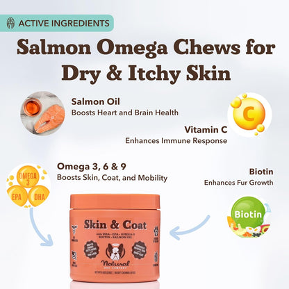 Natural Dog Company Skin & Coat Supplement for Dogs – Omega-3 Salmon Oil, Biotin & Vitamin E, 90 Soft Chews