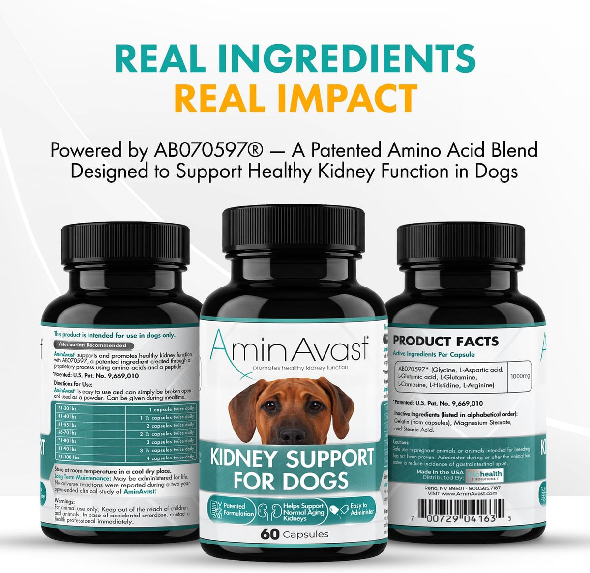 AminAvast Dog Kidney Supplement - Supports Natural Kidney Function - Promotes Health & Vitality of Ageing Kidneys - Pet-Friendly, 1000mg, 60 Capsules - görsel 5