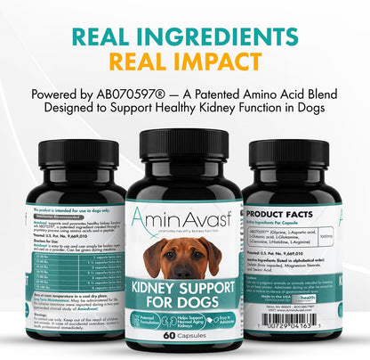 AminAvast Dog Kidney Supplement - Supports Natural Kidney Function - Promotes Health & Vitality of Ageing Kidneys - Pet-Friendly, 1000mg, 60 Capsules
