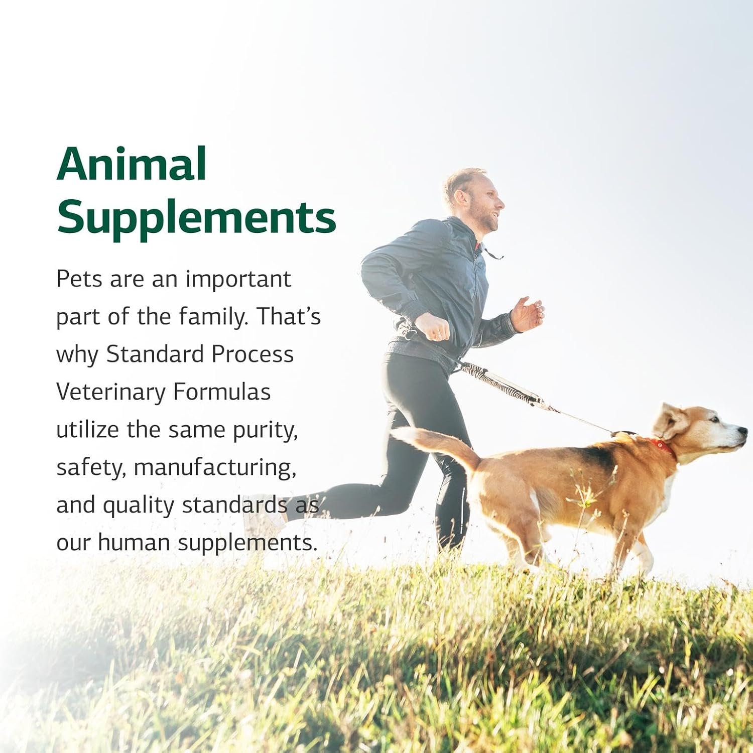 Standard Process Canine Enteric Support – Digestive Support for Dogs (30g) - görsel 6