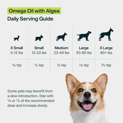 JustFoodForDogs Omega-3 for Dogs – Algae Oil, Human Grade, 237 ml
