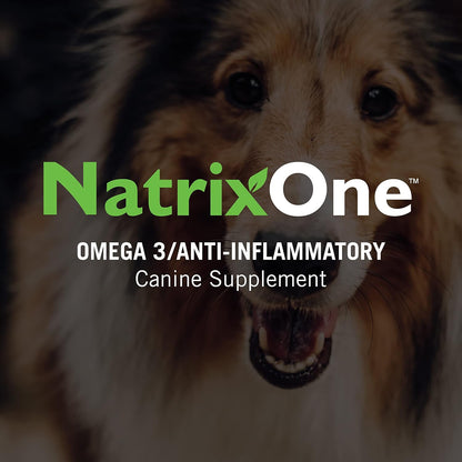 NatrixOne 100% Pure Camelina Oil for Dogs, 946 ml