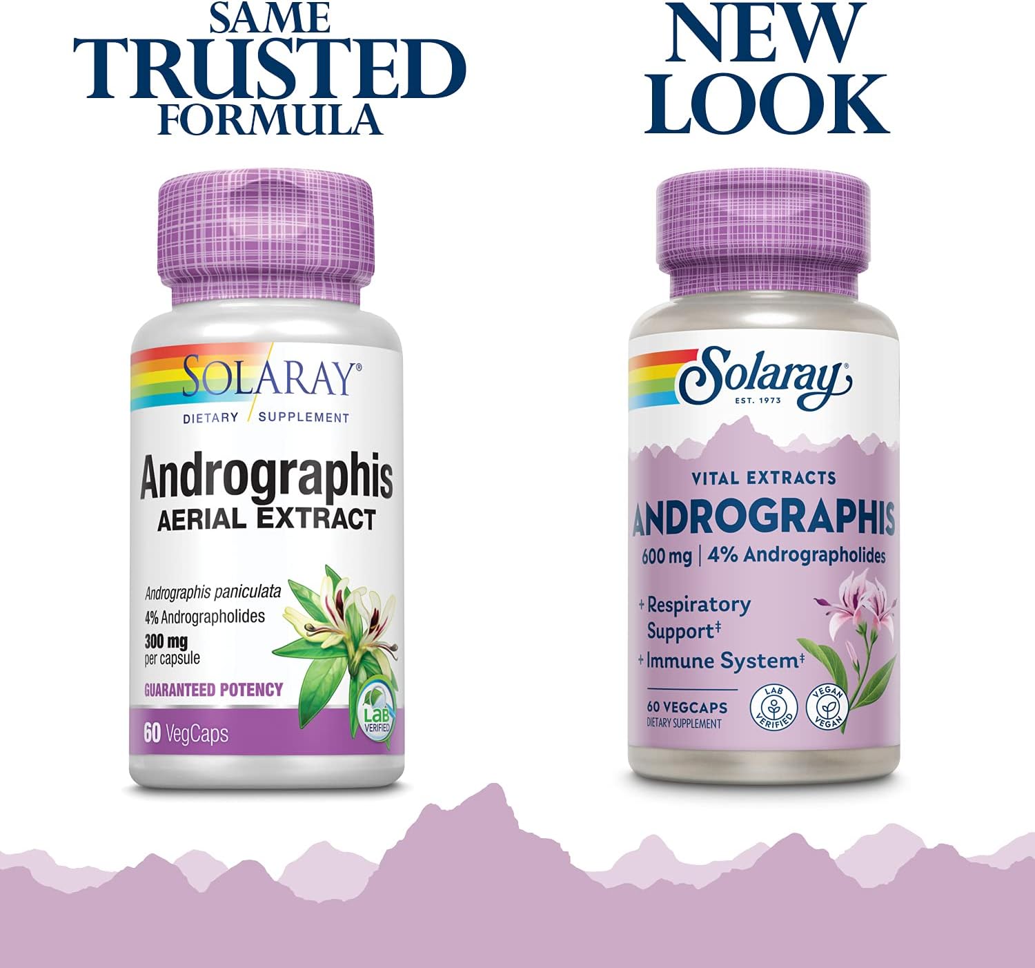 SOLARAY Andrographis 600mg - Immune Support Supplement for Men and Women - Standardised to 4% Andrographolides - Vegan, Non-GMO, Lab-Tested - 60 Vegan Capsules - görsel 2
