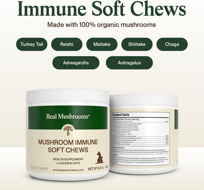 Real Mushroom Immune Pet Chews – Daily Digestive & Immune Support for Dogs and Cats (60 Chews)