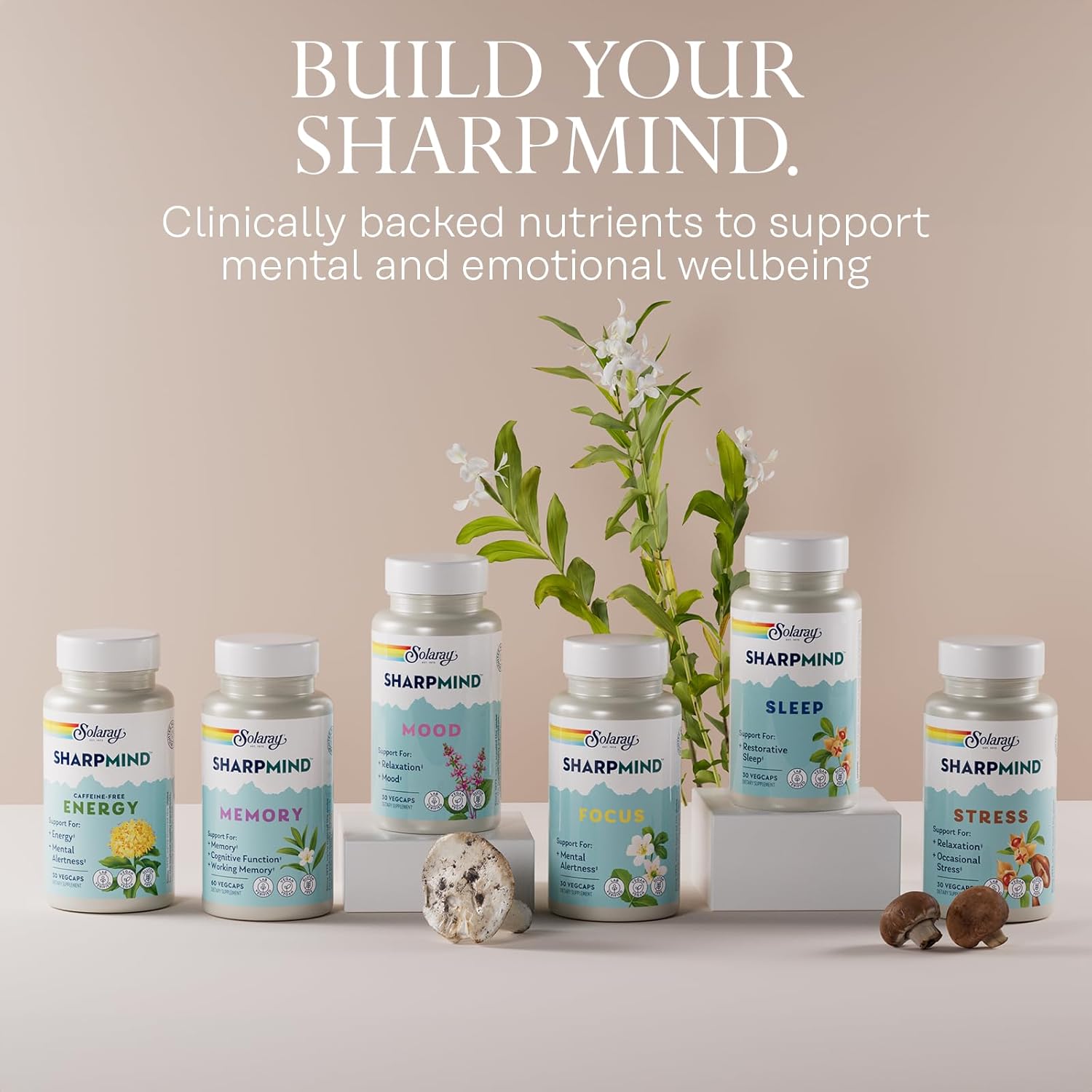 SOLARAY SharpMind Sleep, Nootropic Sleep Aid with Extended Release Melatonin 3mg - 30 Vegan Capsules - görsel 6