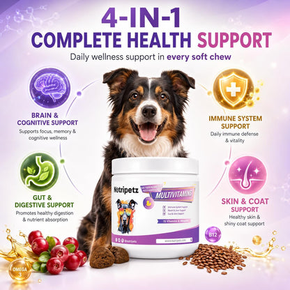 Nutripetz 15 Vitamins & Minerals Pet Supplement - 120 Soft Chews, Duck Flavour - All-in-One with Glucosamine & Probiotics for Dogs & Cats