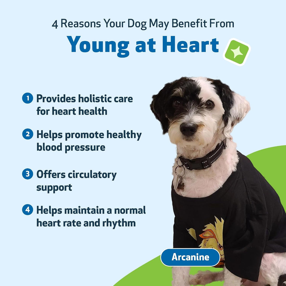 Pet Wellbeing Young at Heart for Dogs – Senior Heart Health Support, 120 ml - görsel 9