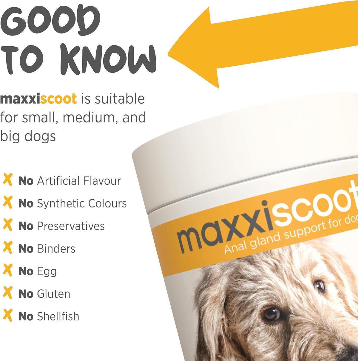 maxxiscoot Digestive & Gland Support for Dogs – Natural Powder Supplement for Stool Quality, Gut Health & Scooting Behaviour Support – Fibre-Rich Formula - 142g - görsel 7