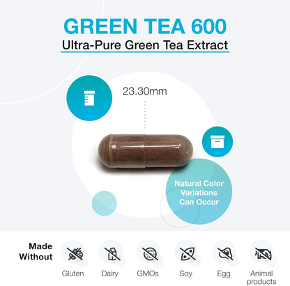 XYMOGEN Green Tea 600 - Antioxidant & Immune Support - 600 mg Green Tea Aqueous Extract - Vegetarian, Gluten-Free & Non-GMO - 60 Capsules