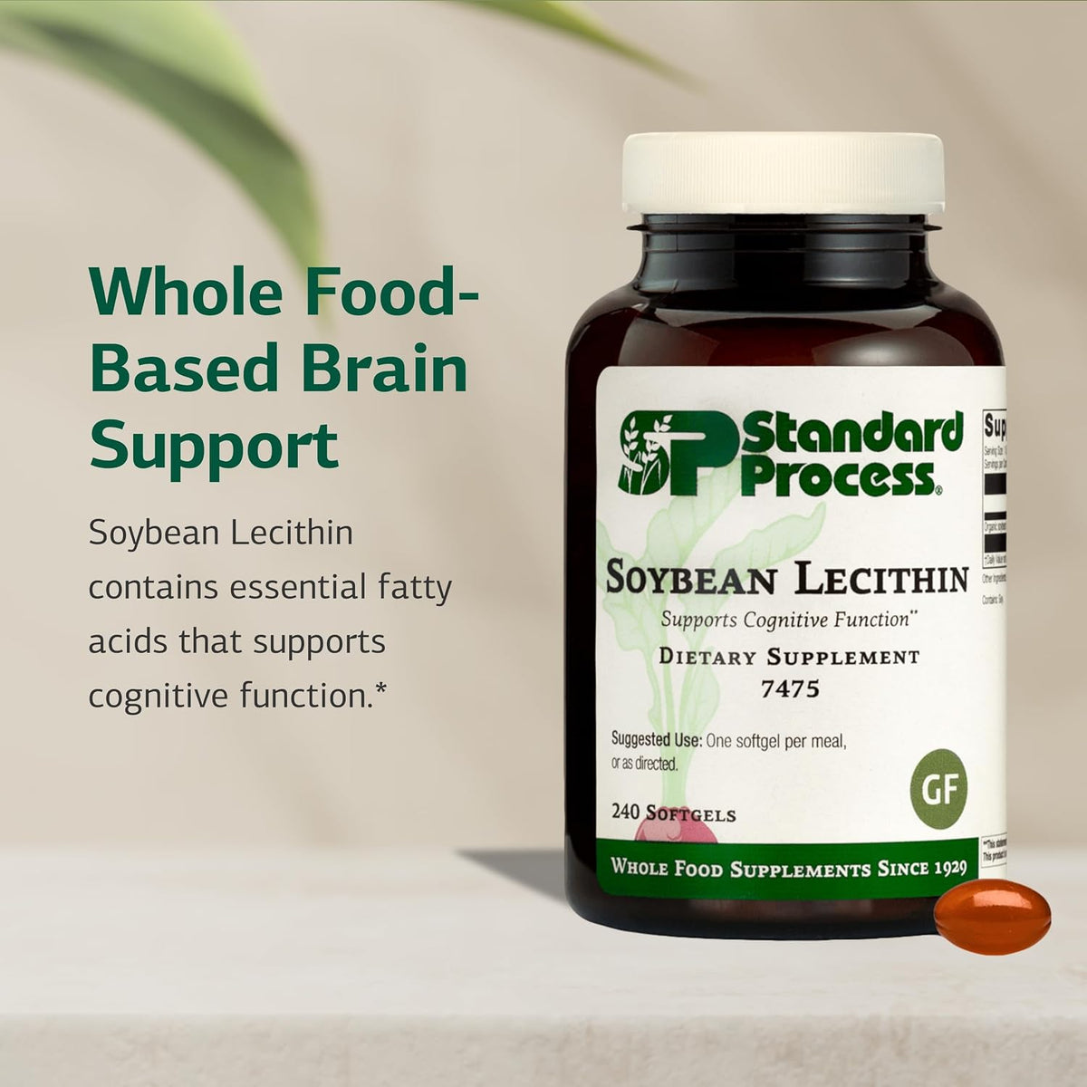 Standard Process Soya Lecithin - Cognitive & Liver Health Support - 240 Softgels - görsel 3