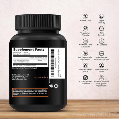 HUMANX Fisetin 500mg – 98% Pure Fisetin Supplement