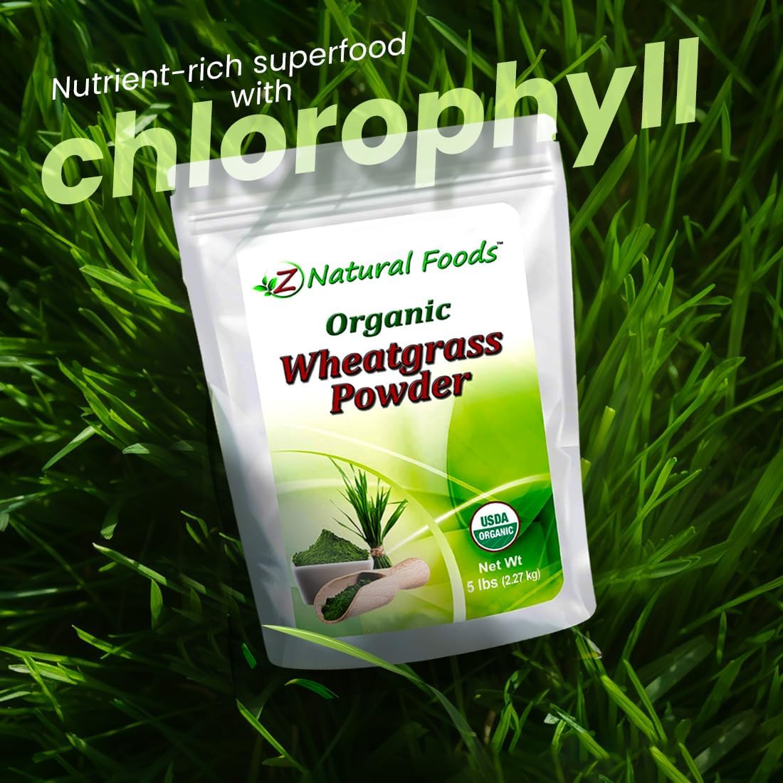 Organic Wheatgrass Powder - 2.27 kg (5 lb) Bulk - Raw Superfood - görsel 4