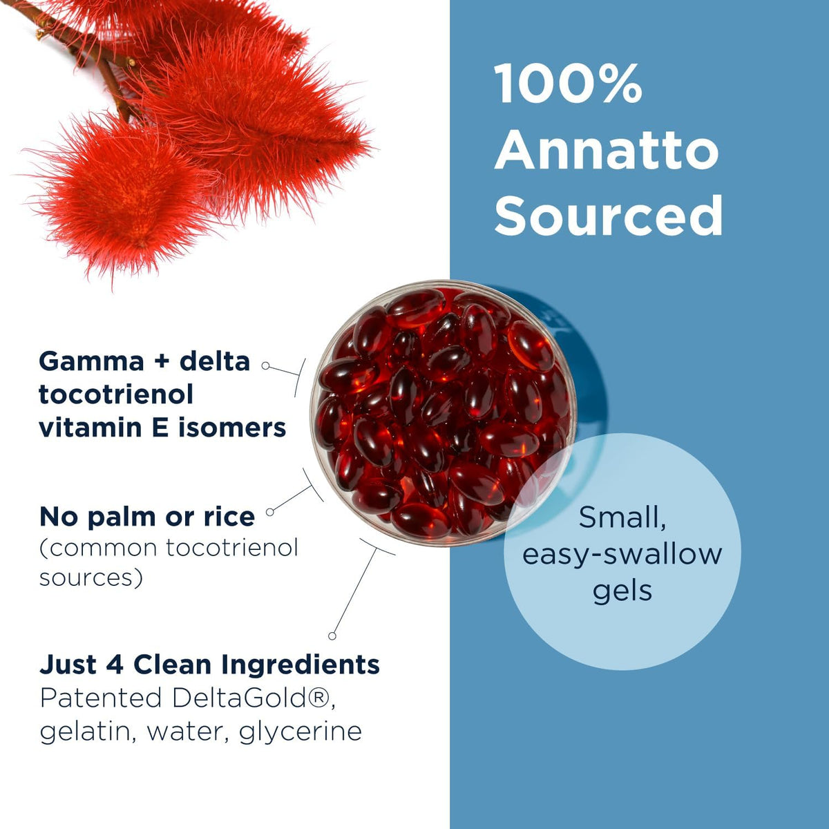 Designs for Health Annatto-E 300 mg Tocotrienols - DeltaGold Vitamin E Complex Supplement with Delta + Gamma Tocotrienols - Cardiovascular, Healthy Ageing + Antioxidant Support - Non-GMO (30 Softgels) - görsel 3