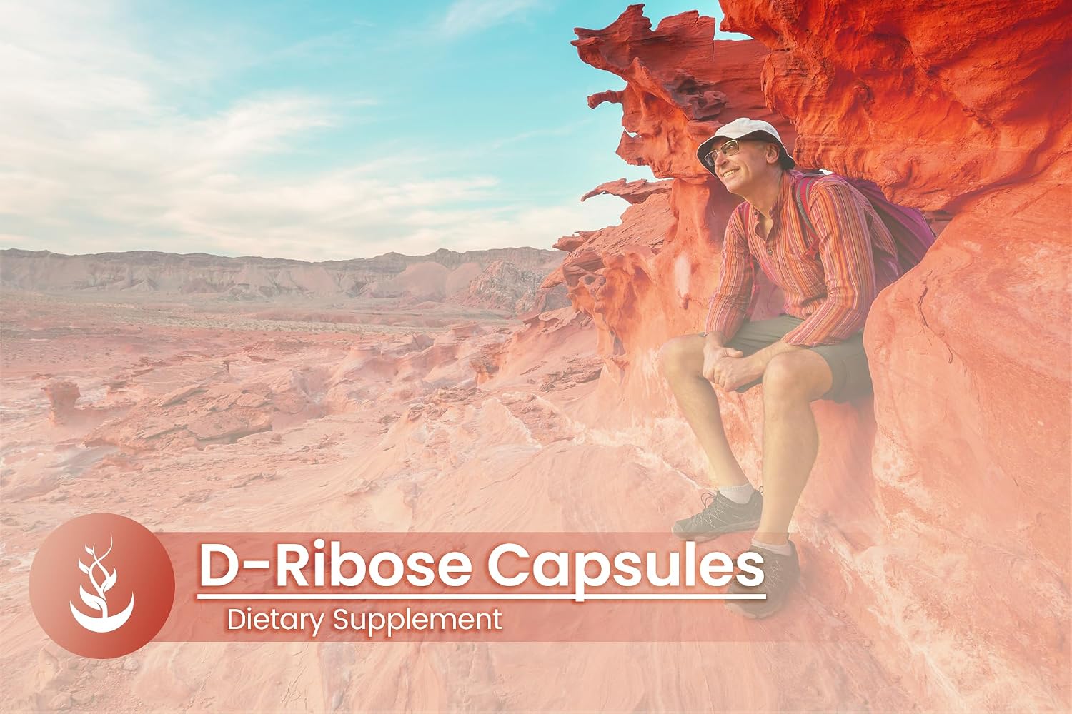 PURE ORIGINAL INGREDIENTS D-Ribose, 100 Capsules - Pure, No Additives - görsel 5