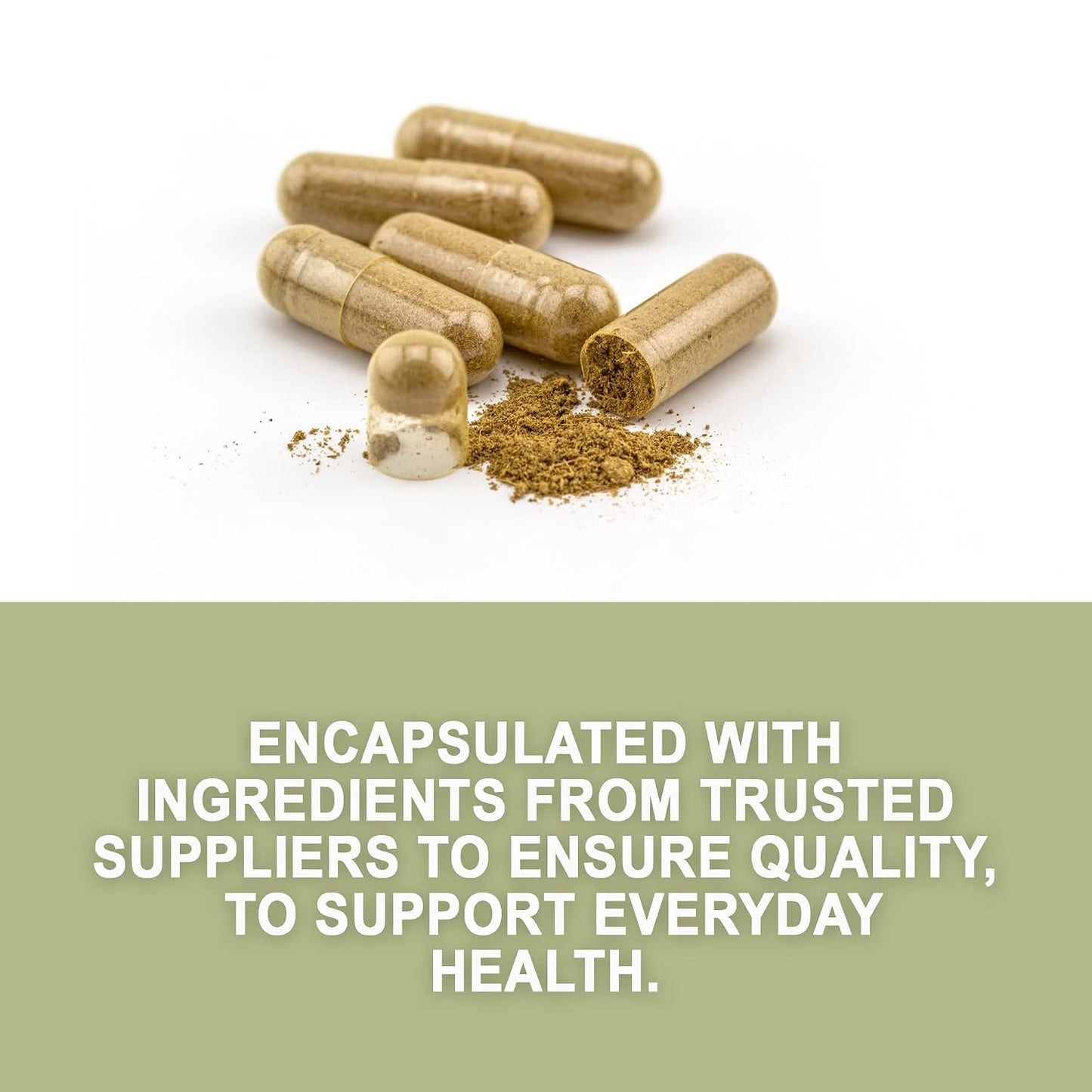 Evergreen Herbs Palo Guaco - 90 Capsules - görsel 3