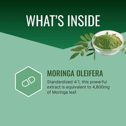 Approved Science MoringaMD - Moringa Oleifera Supplement - 1200 mg Per Serving, 4:1 Moringa Leaf Extract - Vegan Capsules - Non-GM - 60 Capsules per Bottle - Pack of 3