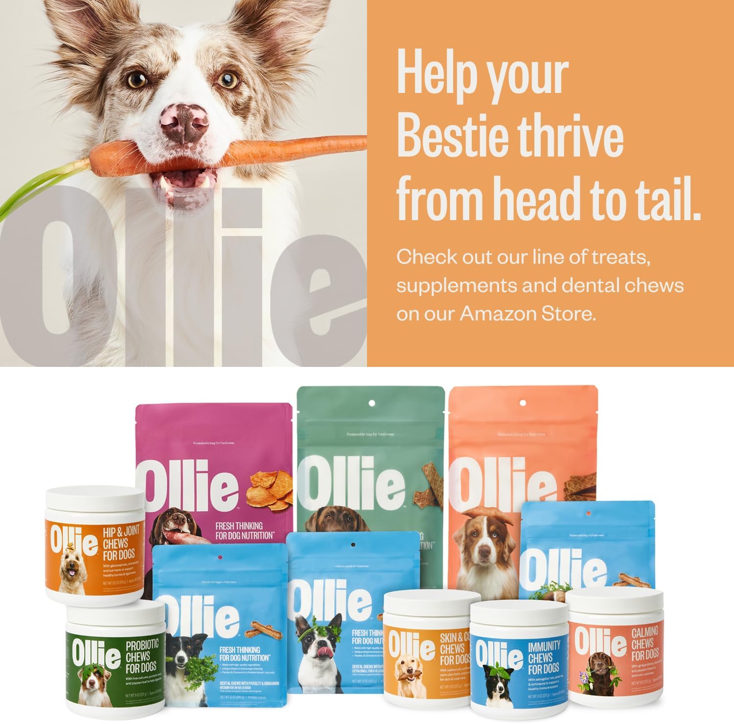 Ollie Dog Skin & Coat Supplement, Supports Healthy Skin & Coat, 60 Chews - görsel 6