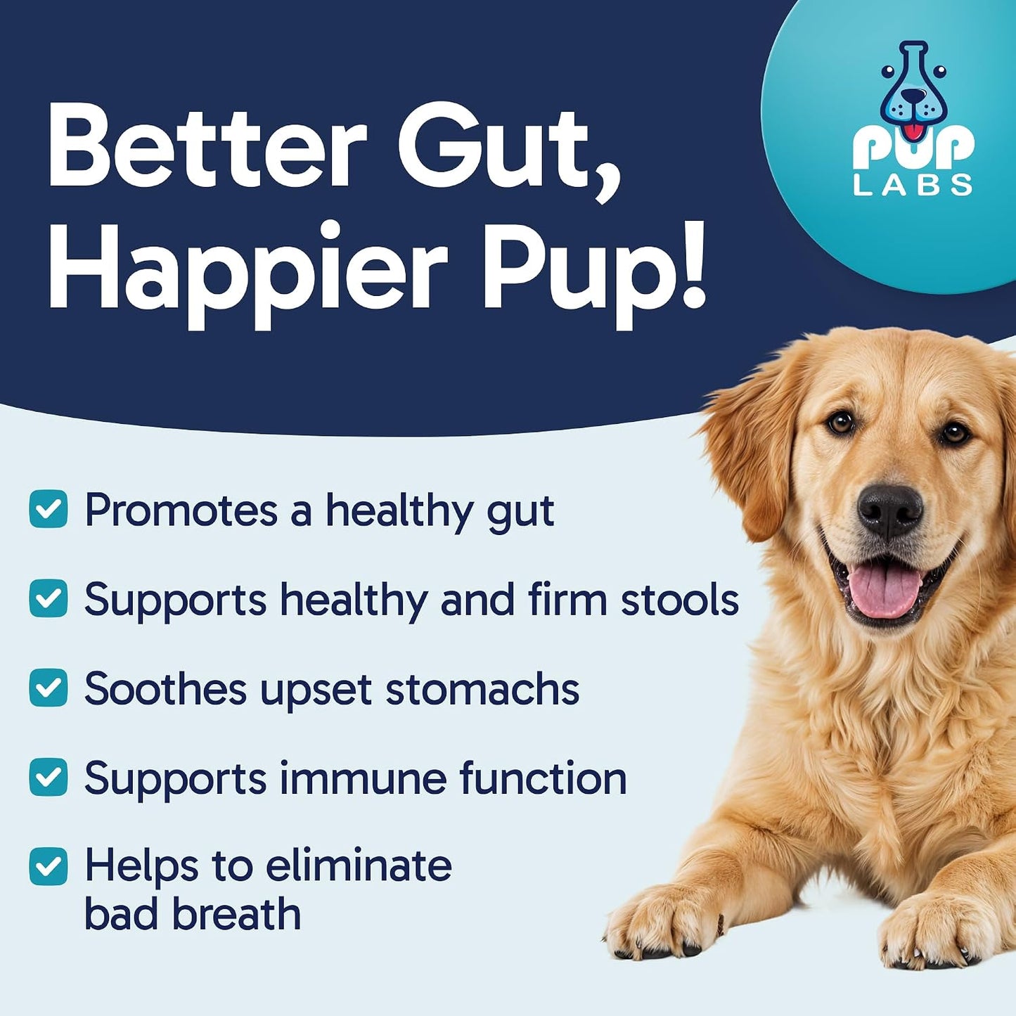 Pup Labs Tummy Essentials Probiotic Chews for Dogs - Digestive and Immune Support, 30 Chews - görsel 2
