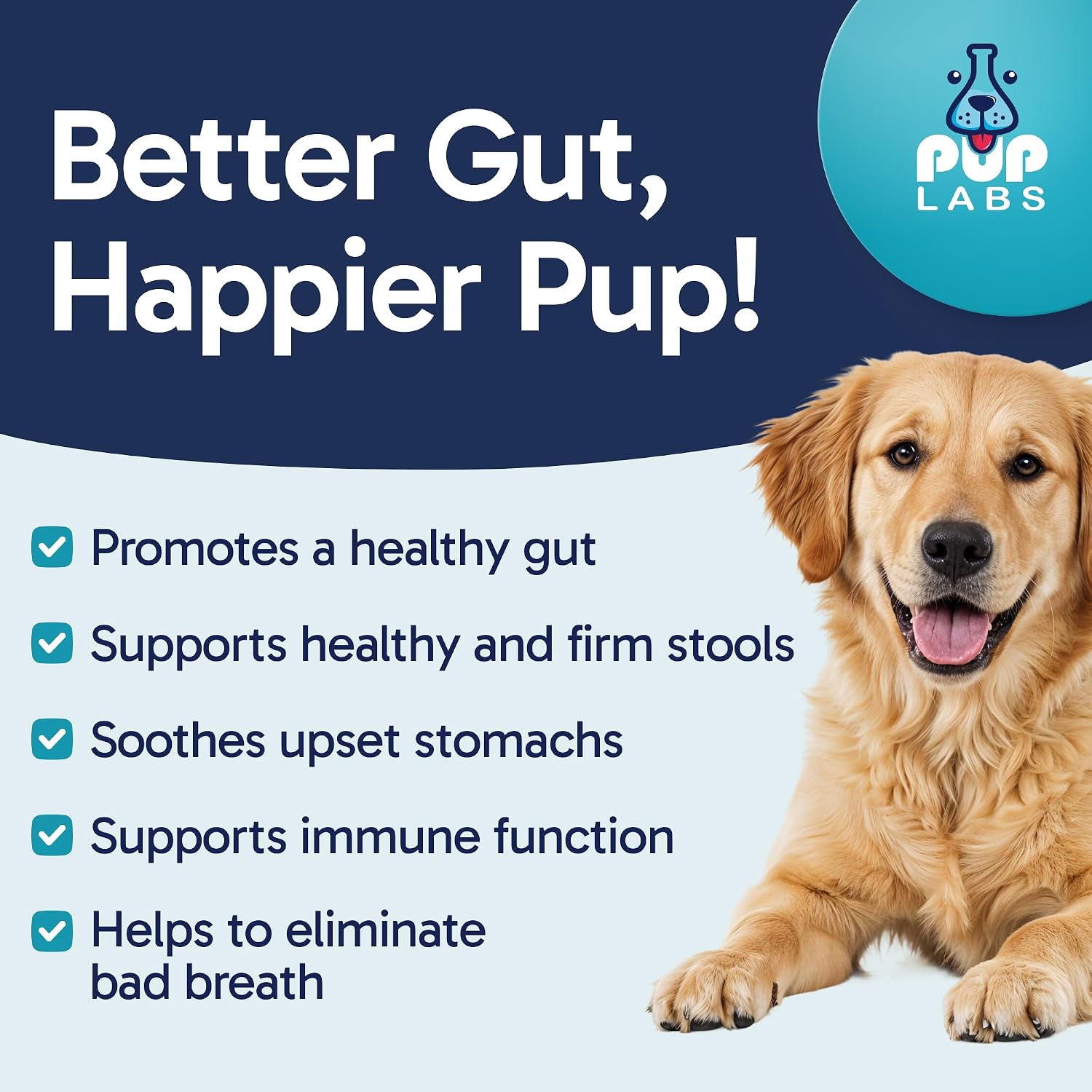 Pup Labs Tummy Essentials Probiotic Chews for Dogs - Digestive and Immune Support, 30 Chews - görsel 2