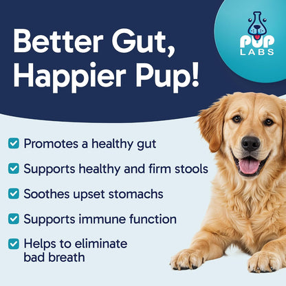 Pup Labs Tummy Essentials Probiotic Chews for Dogs - Digestive and Immune Support, 30 Chews