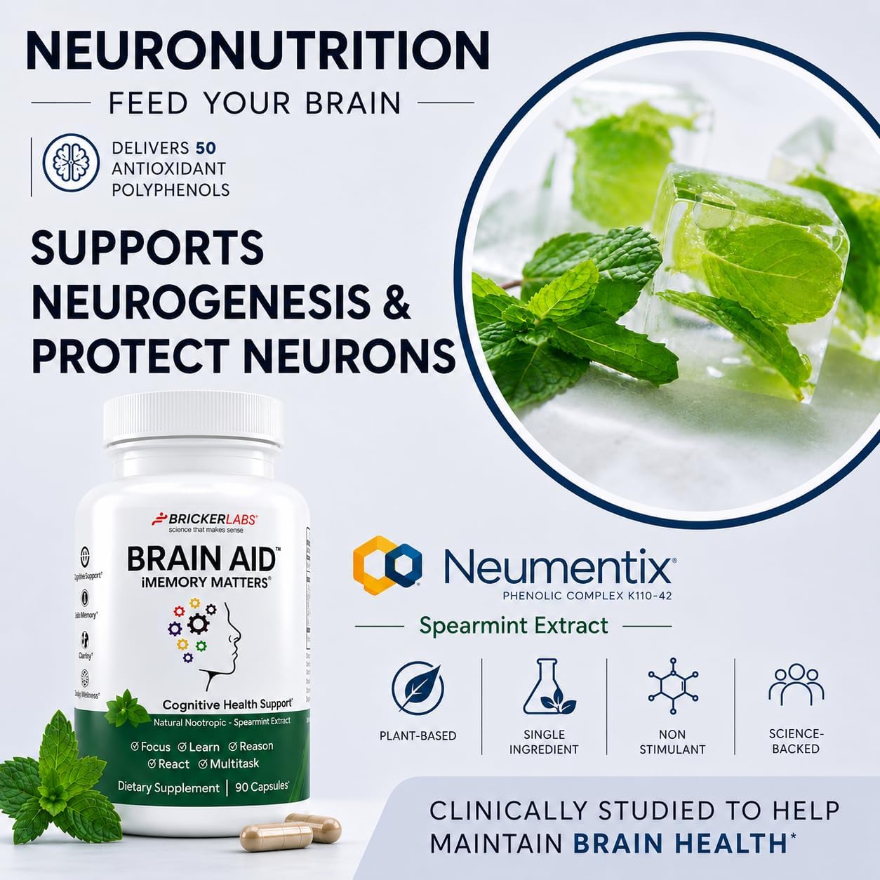 Bricker Labs Brain Aid Memory Matters – Nootropic Brain Supplement with Neumentix Spearmint Extract - görsel 4