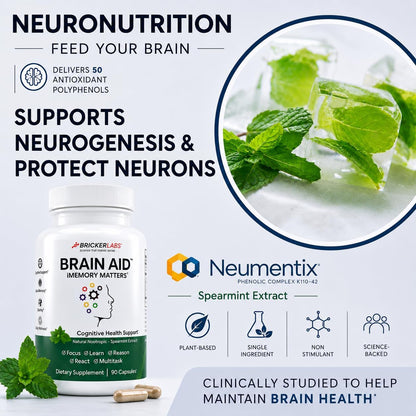 Bricker Labs Brain Aid Memory Matters – Nootropic Brain Supplement with Neumentix Spearmint Extract