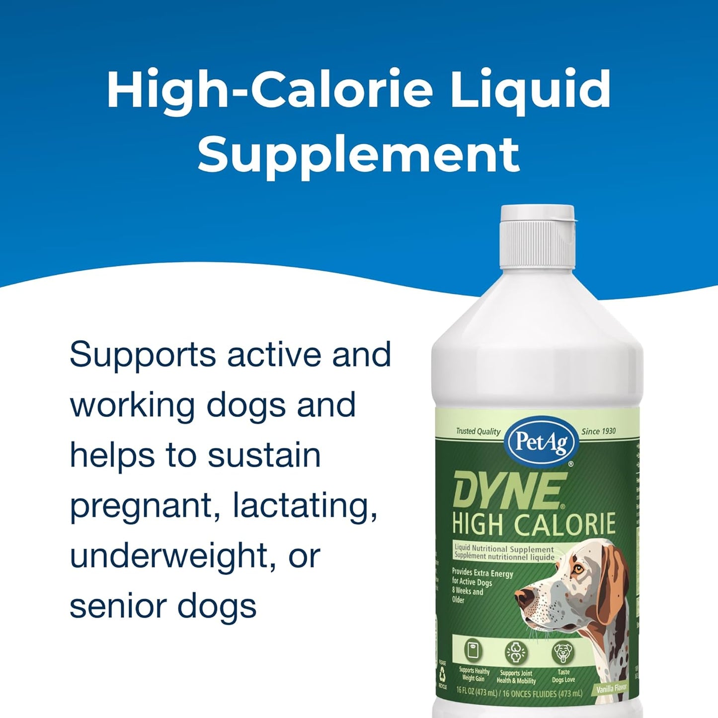PetAg Dyne High Calorie Liquid Nutritional Supplement for Dogs & Puppies (8 Weeks+) - 16 oz, Sweet Vanilla Flavour - görsel 3