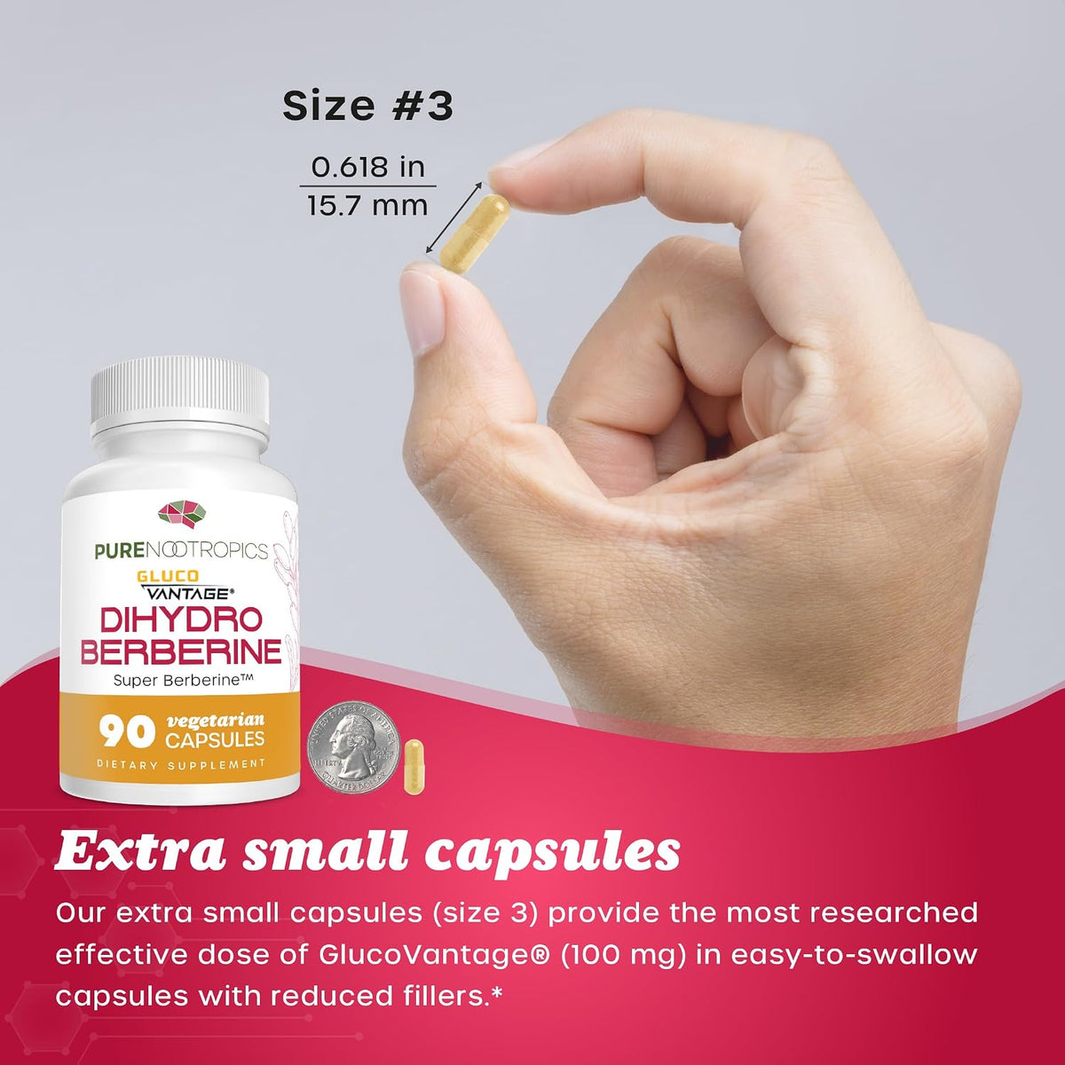Pure Nootropics Dihydroberberine Food Supplement (GlucoVantage) 100 mg, 90 Capsules - Super Berberine - görsel 6