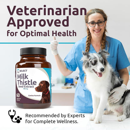 Milk Thistle for Dogs, 100mg – 60 Vegetable Capsules – Canine Liver Health Supplement