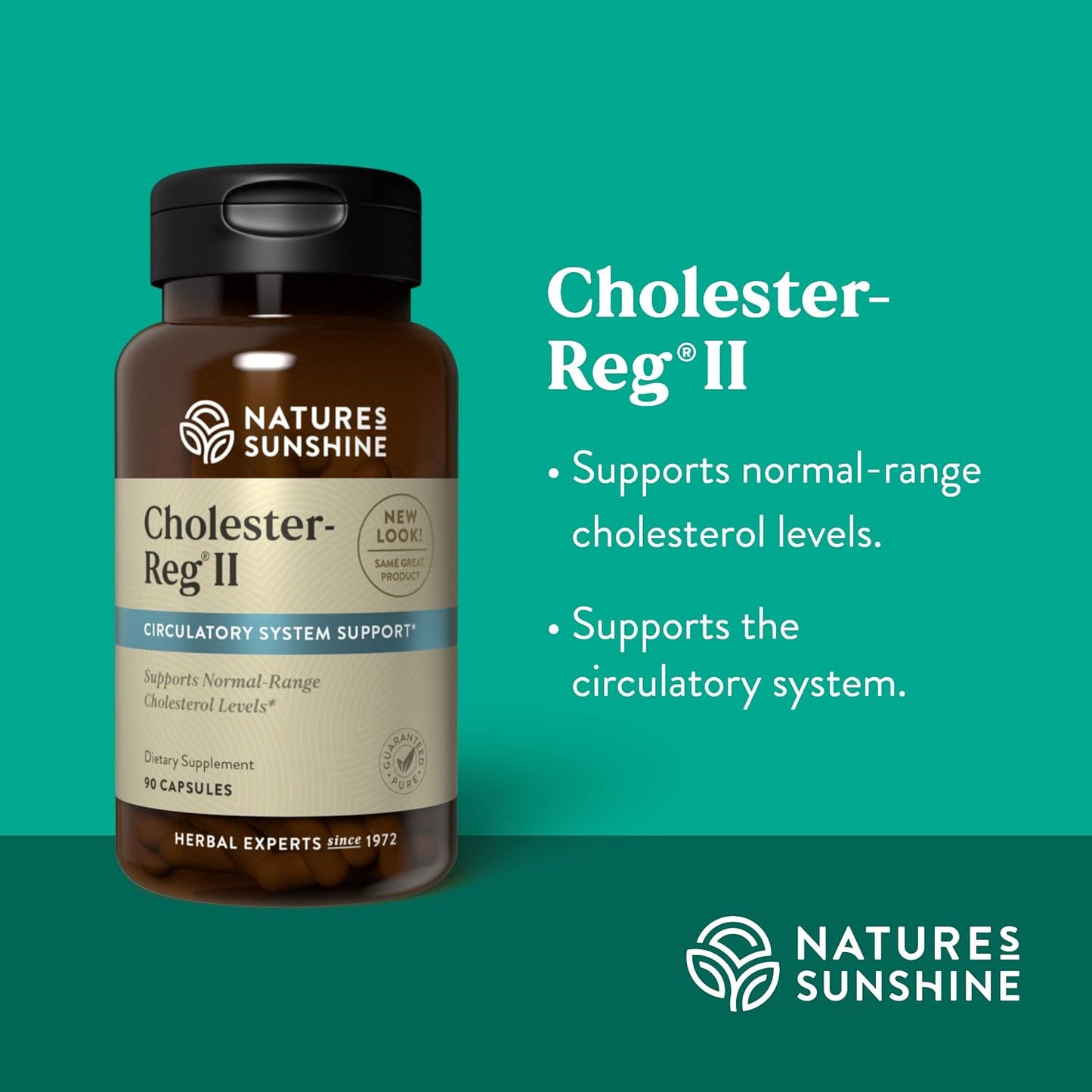 Nature's Sunshine Cholester-Reg II - 90 Capsules - görsel 4