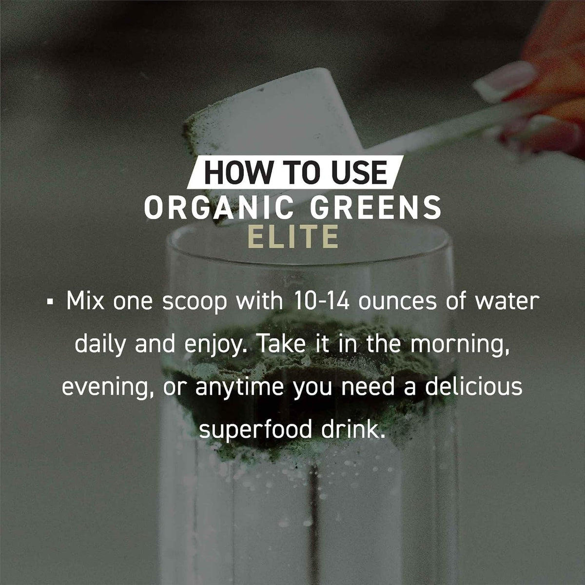Kaged Organic Greens Elite - Superfood – Digestive Health: Prebiotics such as inulin contribute to normal bowel – Image 7