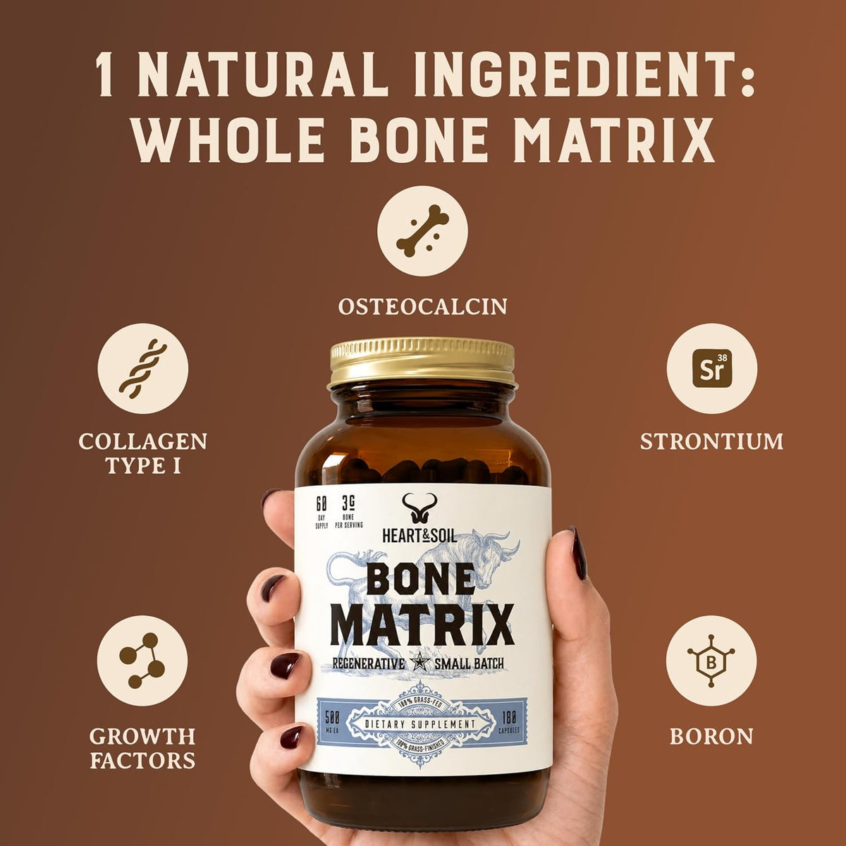 HEART & SOIL Grass Fed Bone Matrix — Supports Bone and Joint Health, Strength, and Flexibility (180 Capsules) - görsel 8