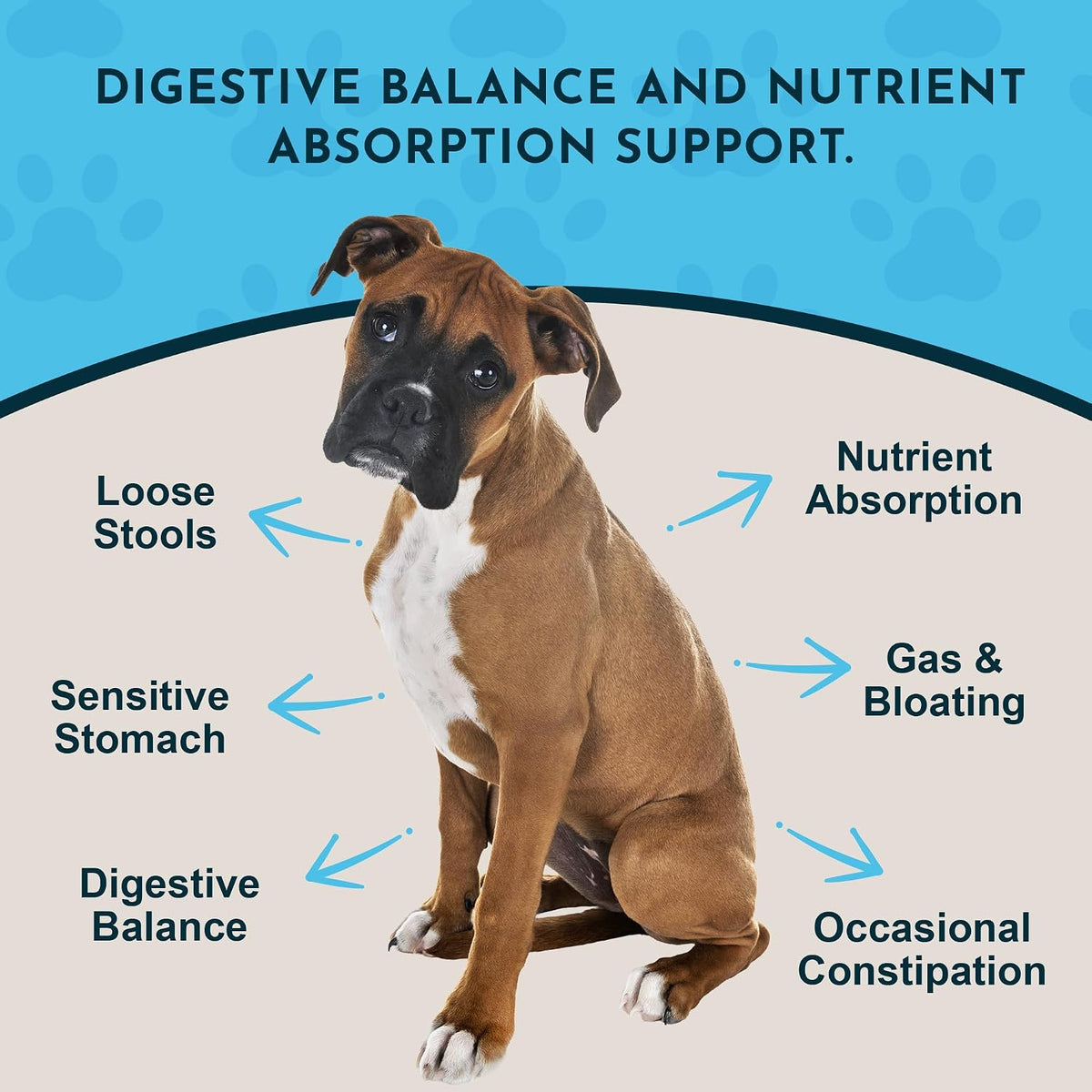 Animal Essentials Plant Enzyme & Probiotics - Probiotic & Digestive Enzyme Powder for Dogs & Cats, 300 g - görsel 2