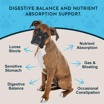 Animal Essentials Plant Enzyme & Probiotics - Probiotic & Digestive Enzyme Powder for Dogs & Cats, 300 g