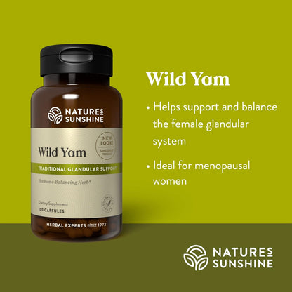 Nature's Sunshine Wild Yam Capsules – Herbal Glandular Support, 100 Capsules